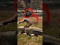 RDR2 Don't mess with the cannon 🤯 #shorts #rdr2 #shortvideo