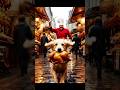 This clever dog will do anything for his dear grandfather #dog #rescue #viral #shorts