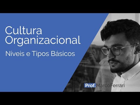 Vídeo: Quais são os diferentes níveis de cultura?