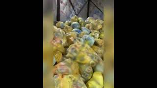 Опасные медицинские отходы нашли в одном из гаражей Сургута