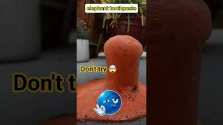 elephant toothpaste experiment 🤯 #experiment #science #shorts #ytshorts