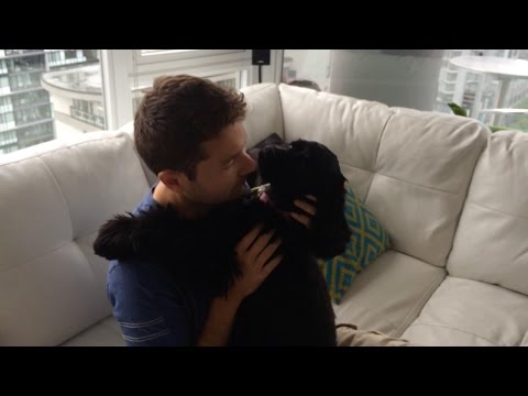 Blind Stray Dog Sees Owner For The First Time