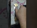 اكبر مطوه في مصر عمرها 30 سنة ليست للبيع 