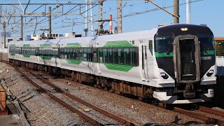 【JR東】E257系5500番台OM-51編成  臨時快速『GOGO舞浜』運転！  (2022/11/14)
