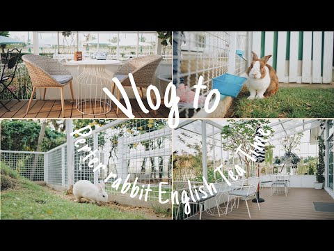 Vlog : คาเฟ่ Perter Rabbit English Tea Time ถนนอักษะ กรุงเทพฯ | ชีวิตติดถ่าย : 4toshoot