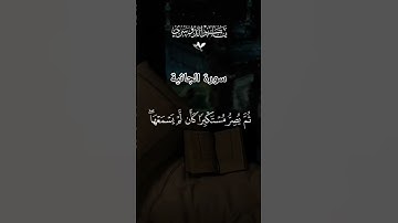#لايك #اكسبلور #قرآن #راحة_نفسية #سورة الجاثية #ياسر_الدوسري