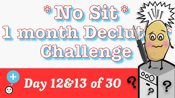 Unexpected problems while cleaning clutter (Frugal Hoarder): 30 Day Declutter Challenge, Day 12&13