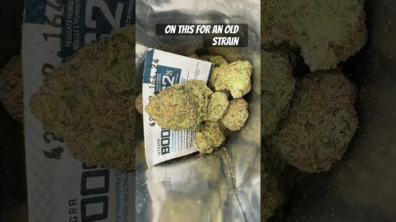 That’s is NOT smalls 😂 ShopHelloMary $60 half of jack herer?!