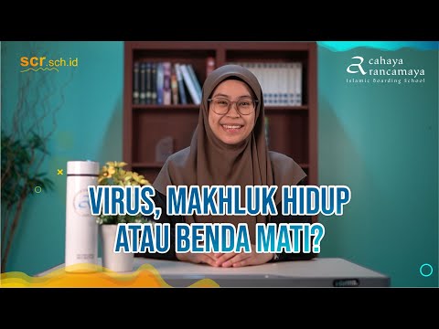 Video: Bagaimana virus itu makhluk hidup?