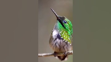 آيات عطرة من سورة الحشر