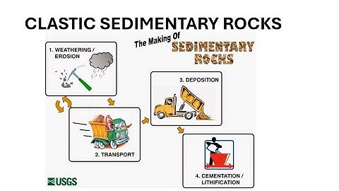 Clastic Sedimentary Rocks: Classification, Textures, and How to Identify Them in the Field