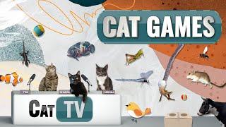 CAT Games | Ultimate Cat TV Compilation Vol 20 | 2 HOURS