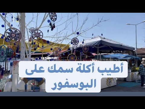 فيديو: شركة 