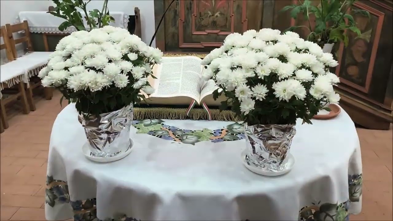 Dél-Nyírségi erdős puszták vidékén