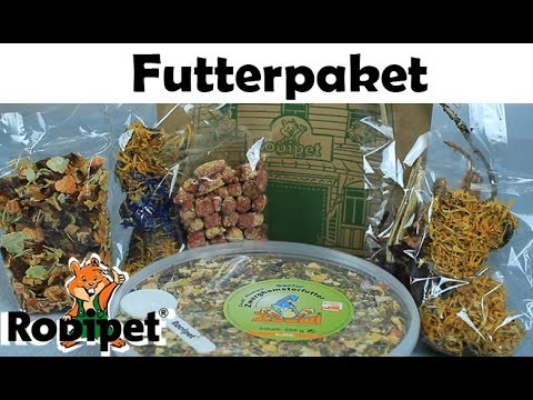 Miyukis♥Vlog: Hamstersachen einkaufen und Axolotlfütterung | Doovi