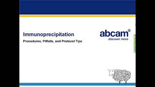 Immuno-Precipitation it's procedure, pitfalls, and protocol tips. #abcam
