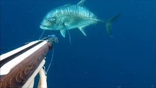 Teak Sea spearfishing gun Sigma 115 Boosted in action, Indonesia
