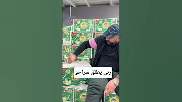 ربي يطلق سراحو العلمة سطيف الجزائر اكسبلور تيك توك Foryou Funny Funnyvideo Fun 