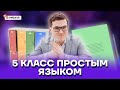 Математика 5 класса за 1 час | Средняя школа | Умскул