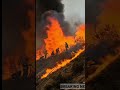 “Cincin Api Maut Mengurung Tim SAR! Drama Kebakaran Hutan Halsey Canyon California”