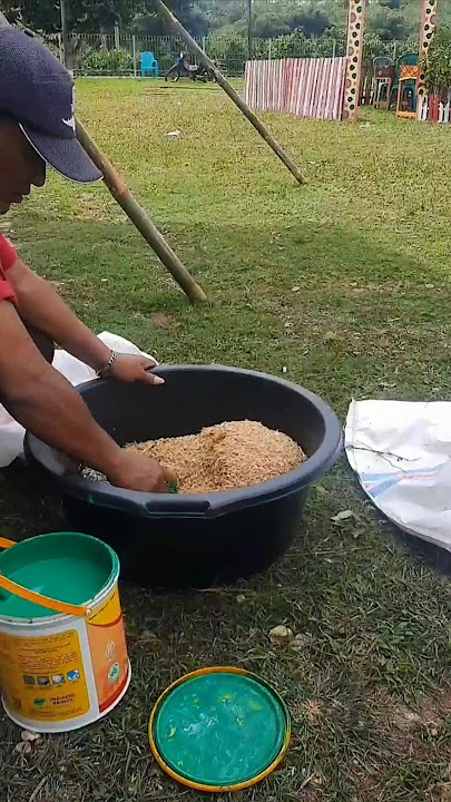 Proses pembuatan rumput palsu dari dedak|| hias taman MTQ Rarak Ronges#kafila #shorts
