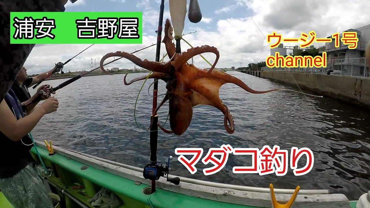 Octopus fishing at Urayasu Yoshinoya (June 2025) - YouTube