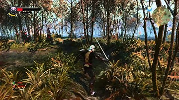 Witcher 3 ps4 v1.01 fps drop in Velen area