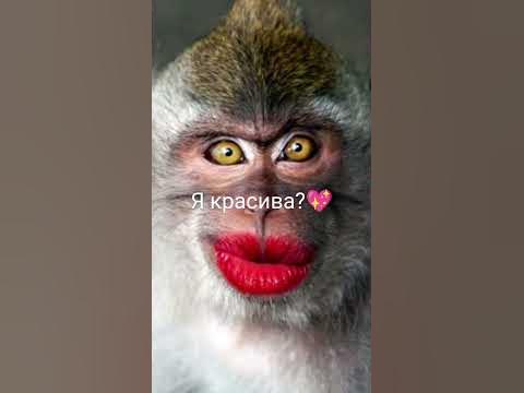 Да да - YouTube