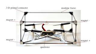 ModQuad: The Flying Modular Structure that Self-Assembles in Midair