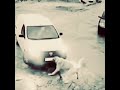 kangal attacked the car #shorts