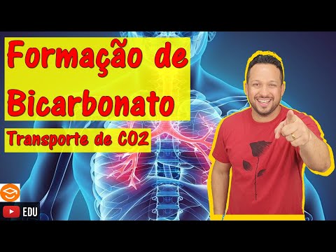 Formação de Bicarbonato - Transporte de CO2 - Sistema Respiratório - Fisiologia Humana