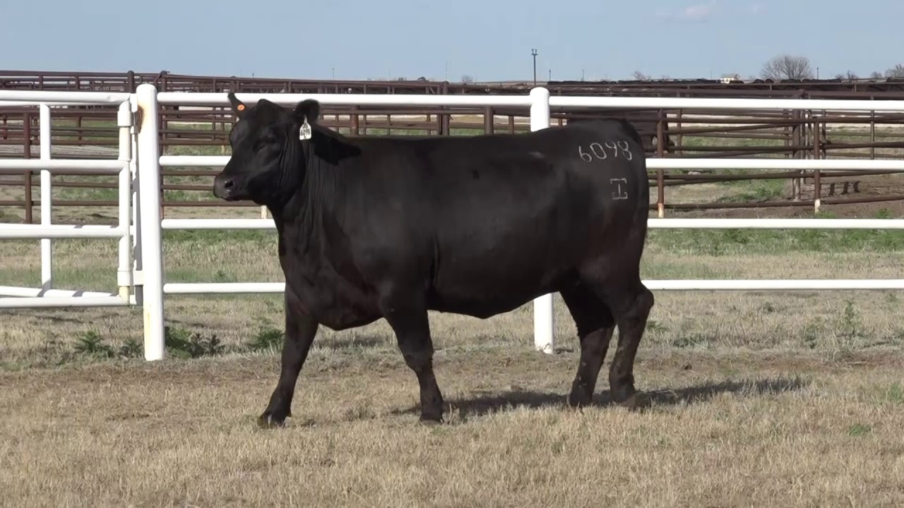 Lot 542, G A R Scale House 6098 - YouTube