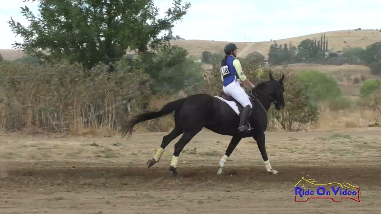138XC Ellie Spurlock on Prouno JR Novice Cross Country Twin Rivers Ranch Se...