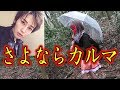 【カルマの彼女】さよならカルマ！付き合ってた証拠晒すね。もえりんのストーカーは私です