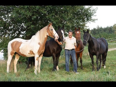 Rai Reiten Rai Reiten