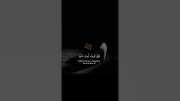اكتب شيء تؤجر عليه ❤️😴 / القارئ عبد الباسط