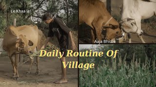 Daily Routine Of Village ( By) Short 