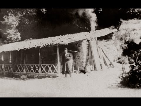 ვაჟა-ფშაველას  ხსოვნას / ნინო ნაყეური