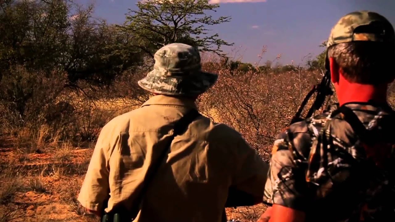 South Africa Male Lion Hunt