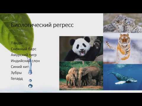 Направления эволюции // Ароморфоз, идиоадаптация, общая дегенерация