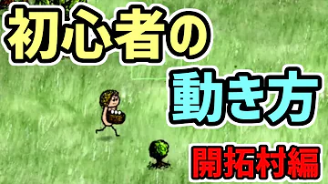 Ohol 初心者 Ohol 初心者