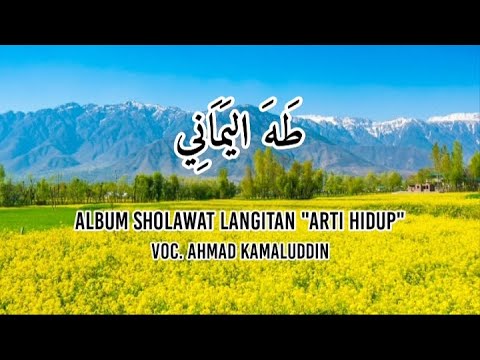 Sholawat Yamaniyah (Thoha Al-Yamani) | Sholawat Langitan | Teks Sholawat