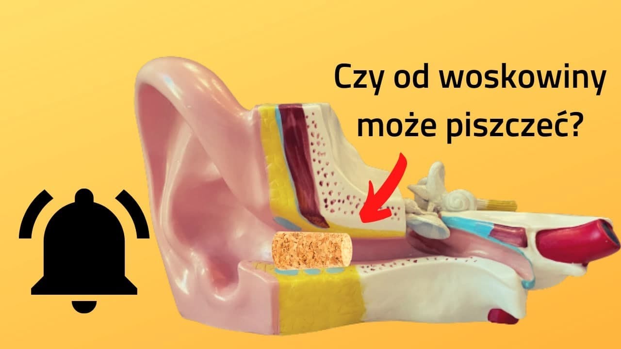 Dzwoni W Lewym Uchu Przesądy Czy szum/pisk w uchu może być od woskowiny? IOTOMED Aparaty słuchowe#39