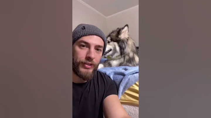 Tell Me Your Dog Is Spoiled...