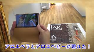 フォーエバーAR PR映像