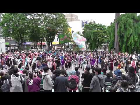 角田いなせ組_第25回YOSAKOIさんさ_2025.05.25_JR盛岡駅前滝の広場会場_踊るYOSAKOI愛日本