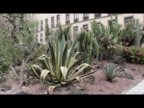 Los Jardines de Palacio Nacional