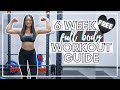 WEEK ONE | DB-Only Beginner Full Body