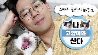 [v-log] 수의사 집사는 고양이랑 집에서 하루종일 뭘 할까?🏡🐈