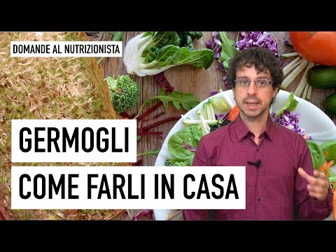 Come produrre in casa i germogli